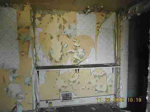 14394 Cruse (34)_m.jpg